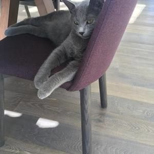 Meet your Posher, Karen